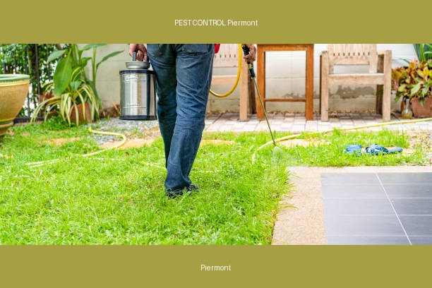 PEST CONTROL Piermont